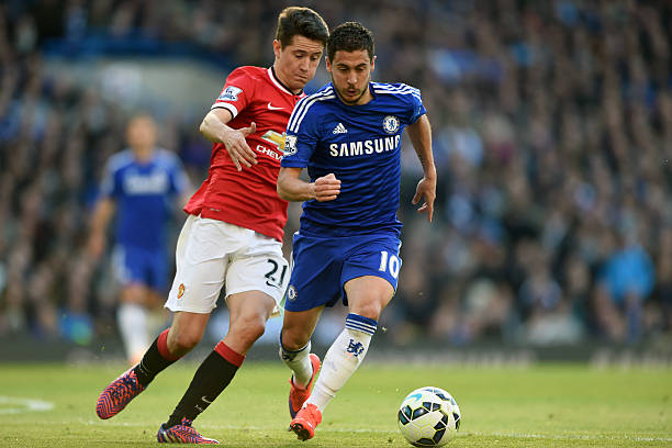 似乎预示着 似乎预示着