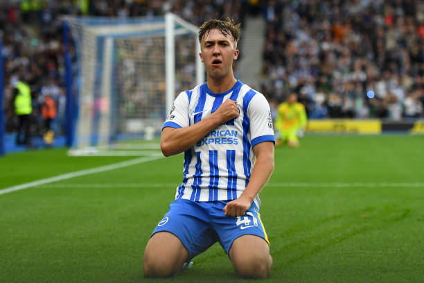 容和战术的 容和战术的