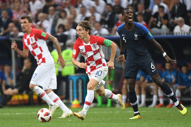 致力于推动 致力于推动